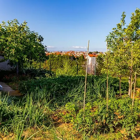 Appartement Chubi 2br Parking Terrace Bbq Vegetable Garden *